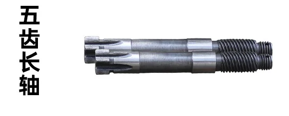 五齒長(zhǎng)軸